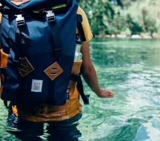 Imagem do tema Vida Selvagem